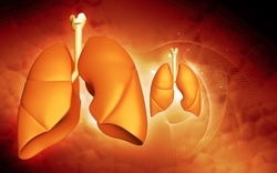 Major Diseases Caused by Shisha Smoking